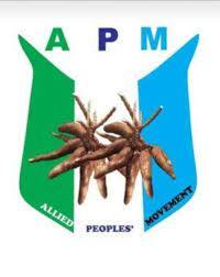 MOHAMMAD ABDULLAHI DAN BABA , Political Party - APM ( Allied Peoples Movement )