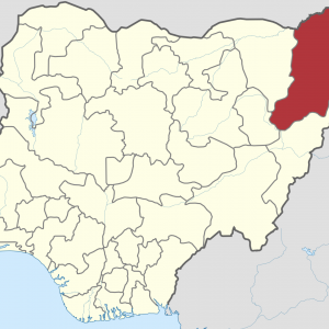 Governor of Borno State